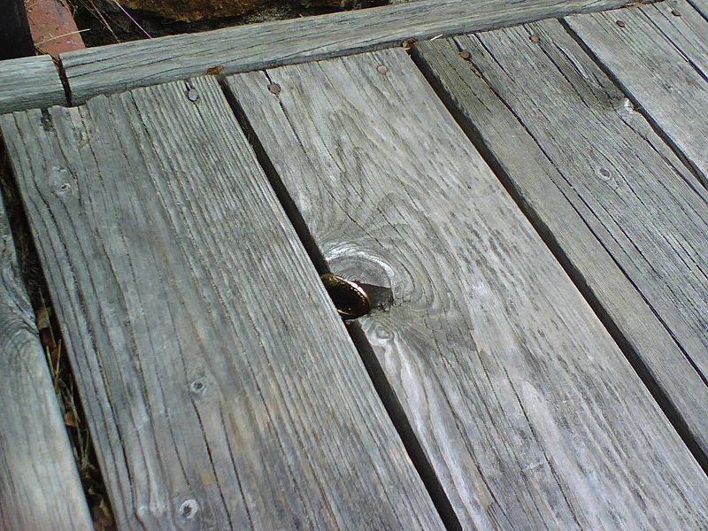 File:2011Gjovaag 0708011510.jpg
