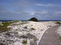 The Boardwalk