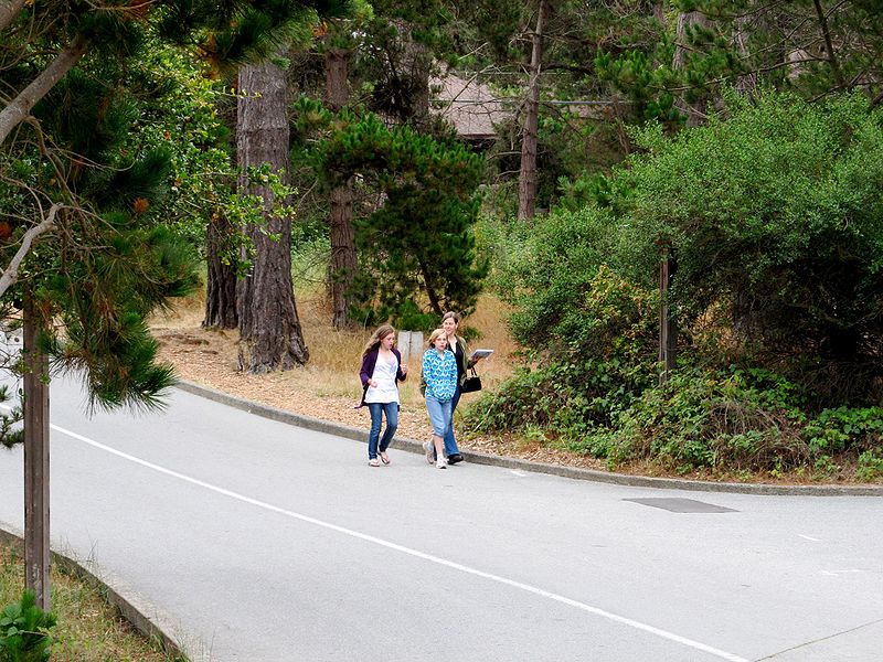 File:2011BieberCon Walking down to dinner.jpg